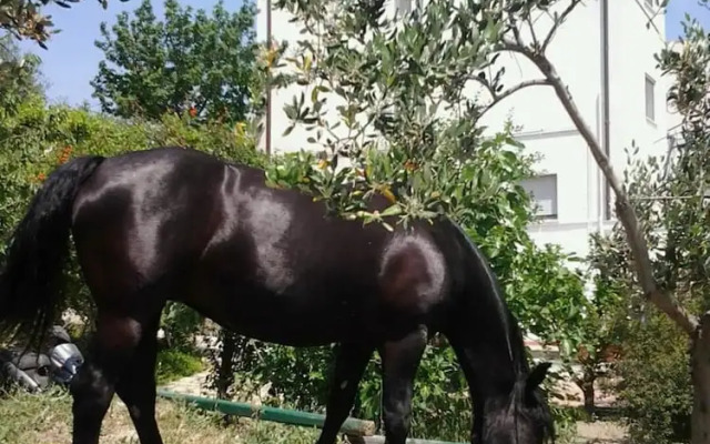 Studio in Matera, With Furnished Terrace and Wifi