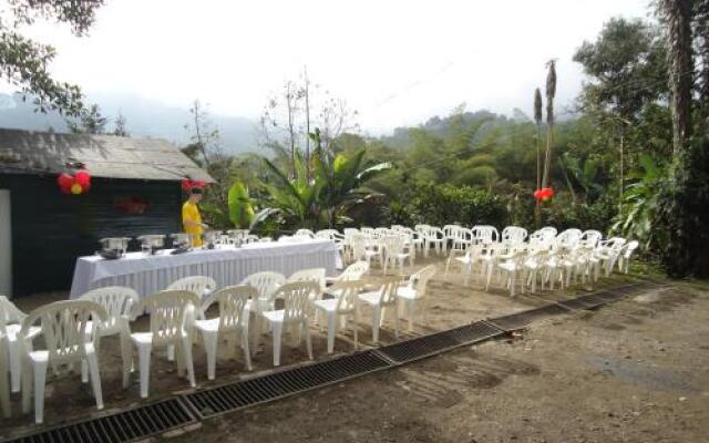 Eco Suits Verdes