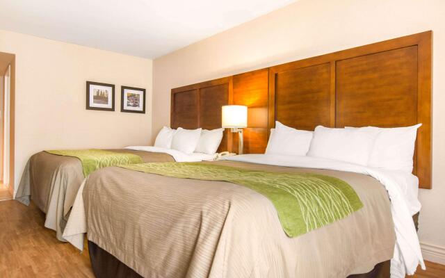 Comfort Inn & Suites Shawinigan