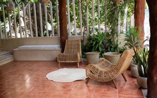 Macondo Holbox