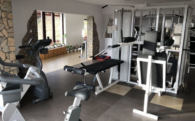 Complex Turistic Alpina Blazna