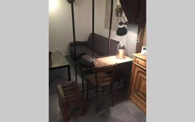 T3 duplex industriel hyper centre ville historique