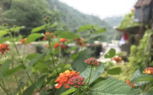 Yandangshan Longqiu Hostel