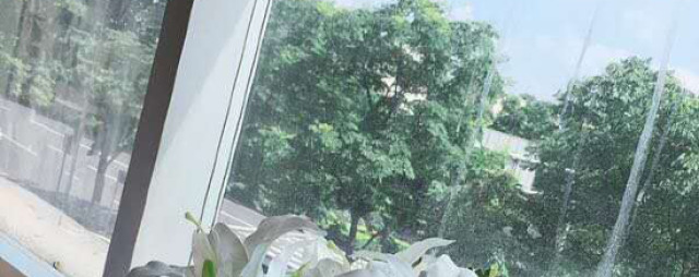 宁波枫月商务宾馆