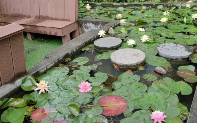 Yimuyuan Viewing Hostel