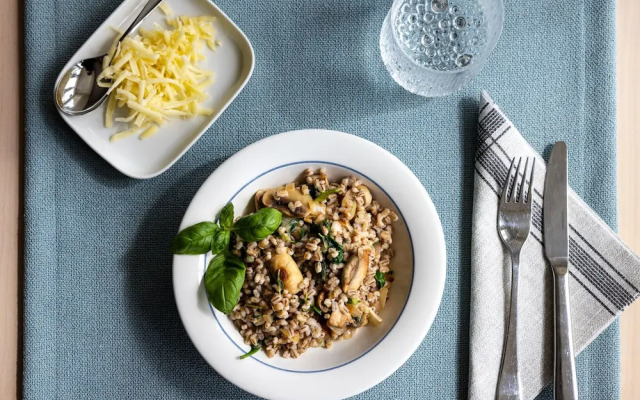 House of Northern Senses