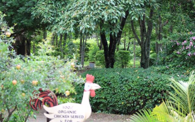 Meserani Oasis Lodge & Campsite