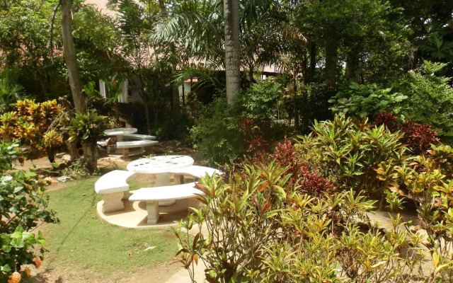Negril Yoga Centre