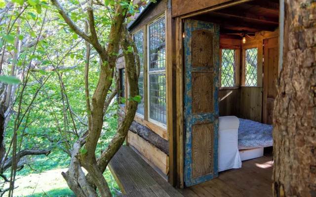 Treehouse Cabin Wilderness Escape