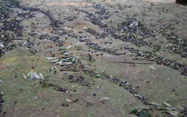 Agriturismo Terra E Sole