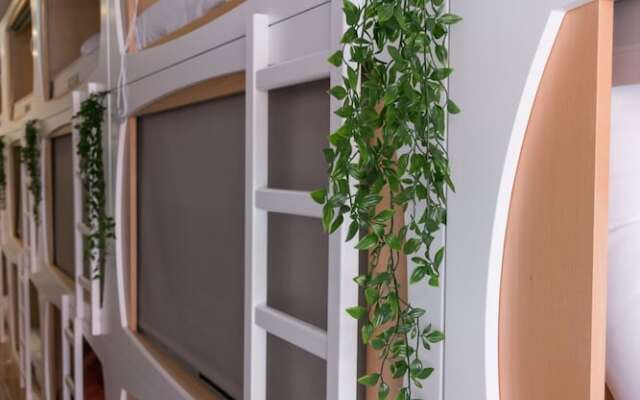 The Mulberry Tree Lisbon Hostel