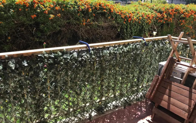 Planta baja reformada - 152B