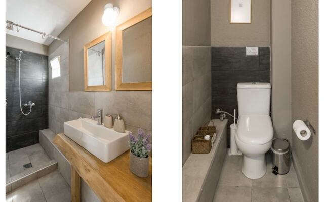 Coelo Shared Pool Villa, Sani