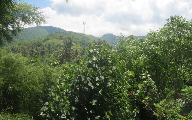 Amed Sari Beach Guesthouse