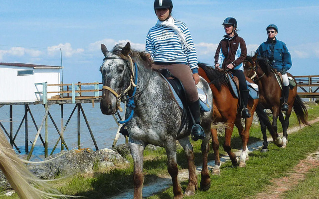 Semi-detached House on a Vineyard, Talais