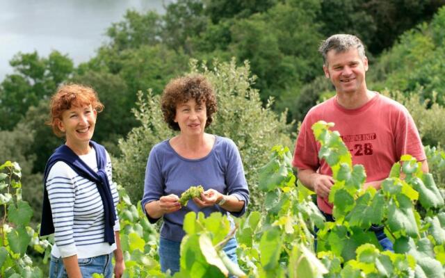 Gîte Le Cellier, 3 pièces, 6 personnes - FR-1-306-891