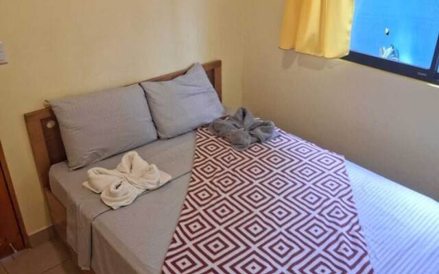 Caribbean Blue Morpho