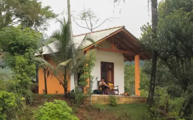 Forest & Fields Sinharaja