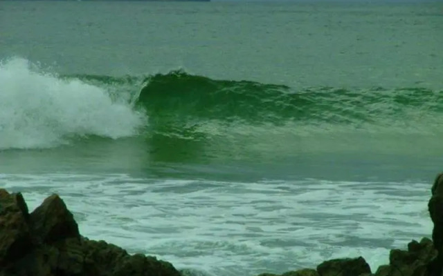 Emerald Tropical Palms B&B