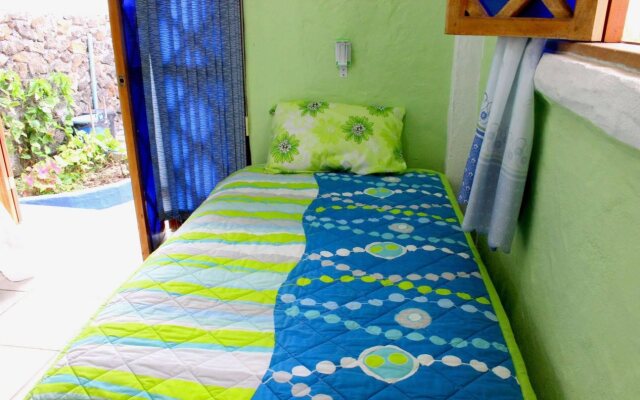 Galapagos Penguin Hostel