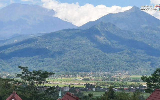Griya Wijaya