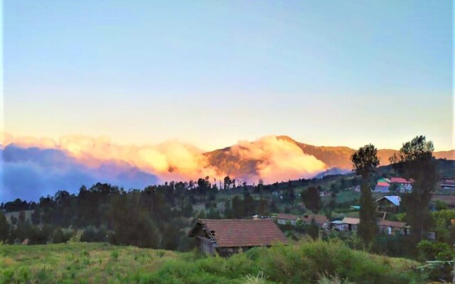 Rahayu Jawarika Bromo Hotel