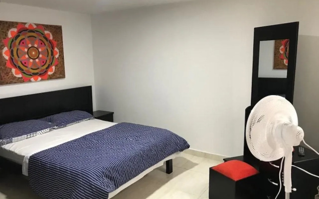 Apartamentos Nuevos