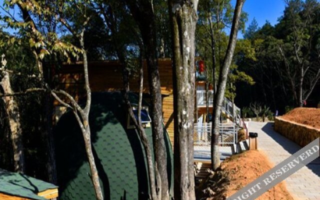 Yinxin'gu Treehouse Hotel