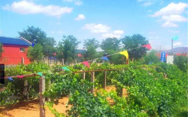 Shapotou Damo Qingyuan Farmstay