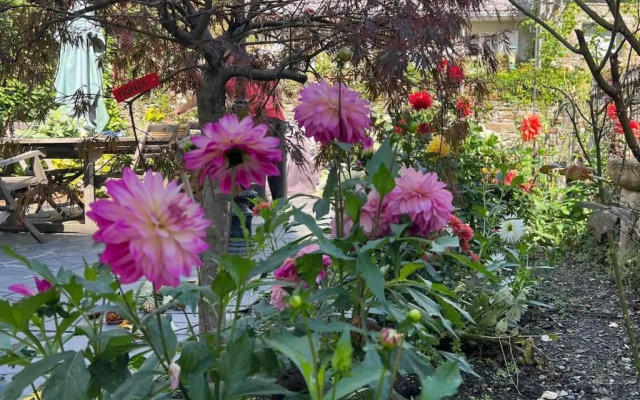 Chambres dHôtes Villa Portillon