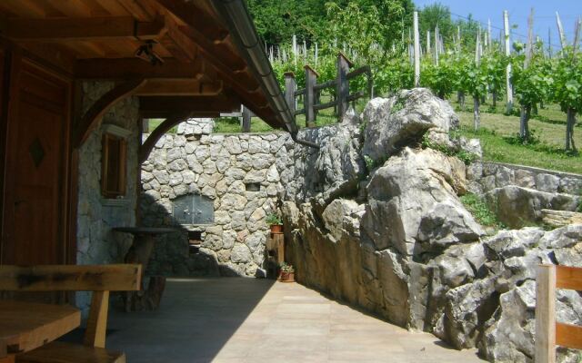 Vineyard cottage Med vinogradi