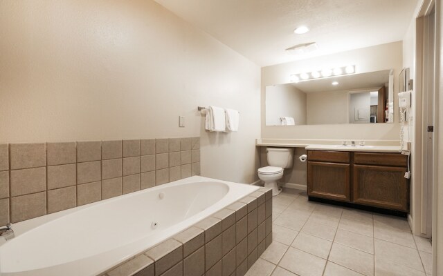 Park City Snow Flower