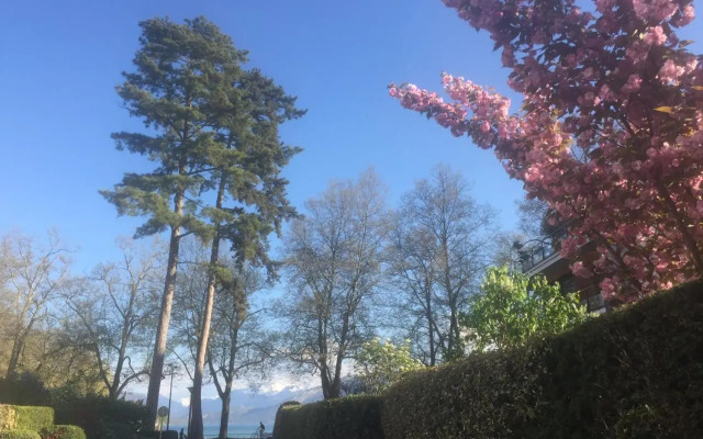 The One Suite Annecy