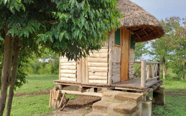 Songbird Safari Lodge