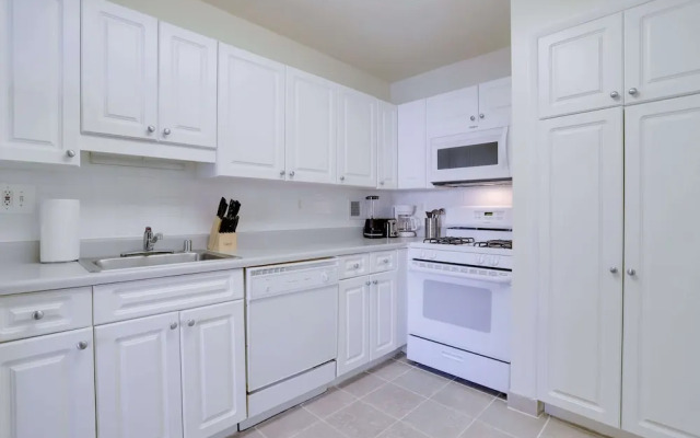 Beautiful & Spacious Apt in Crystal City