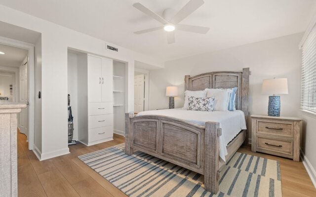 Needle Rush Point D11