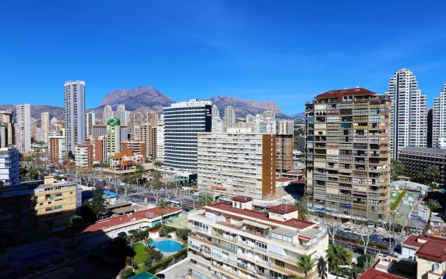 Carolina 13 A