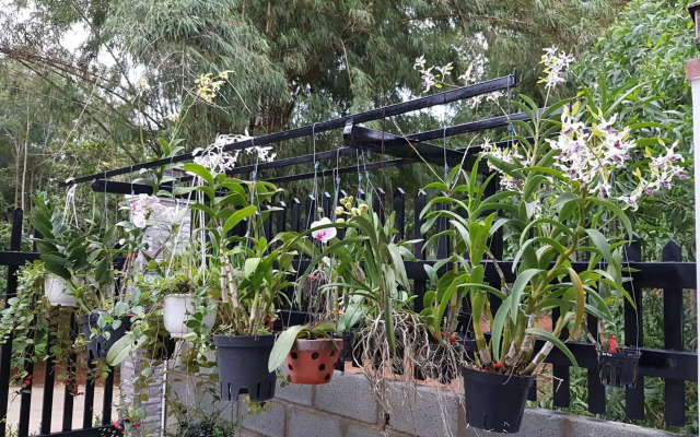 Nhat Huy Bungalow