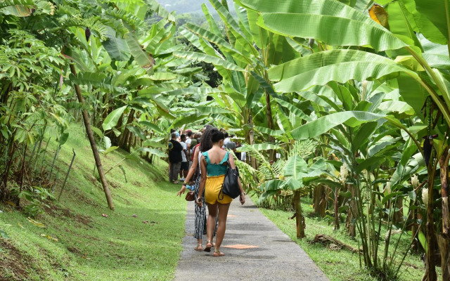 Haut de villa dans son écrin de verdure