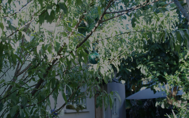 Le Jardin De Ravintsara - Adults Only