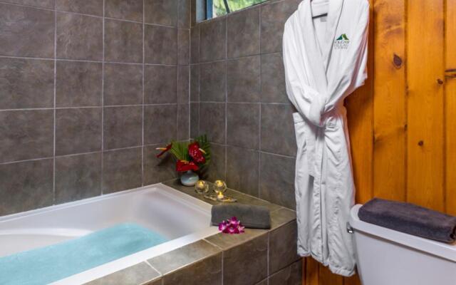 Volcano Village Lodge