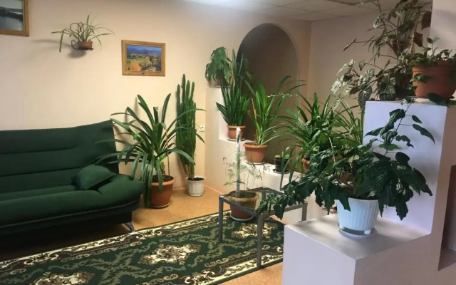 Северное сияние