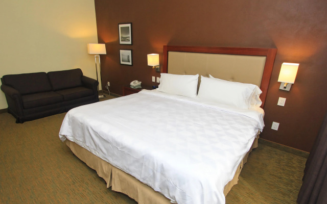 Holiday Inn Leon by IHG