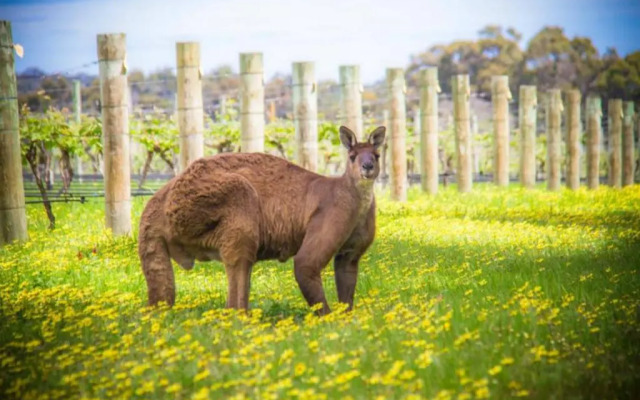 The Roozen Residence