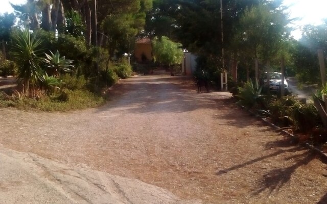 Il Lentisco