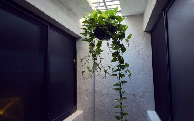 Hostal Ixchel - Hostel