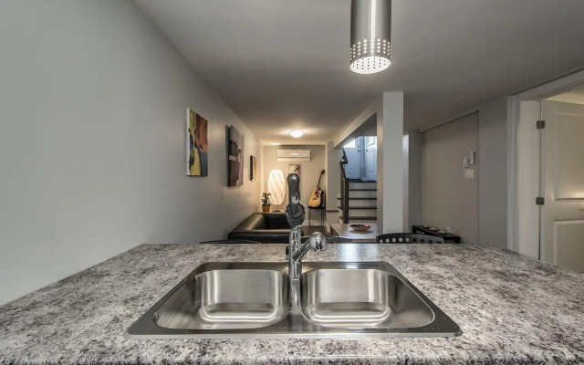 Spacious DAL & Downtown Apartments