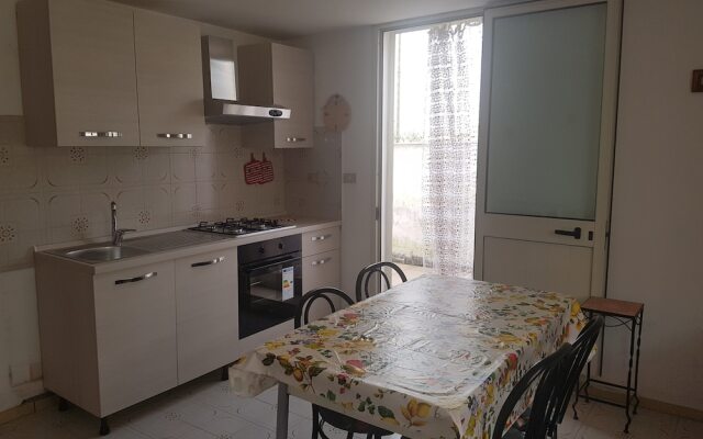 WS Economy Gallipoli