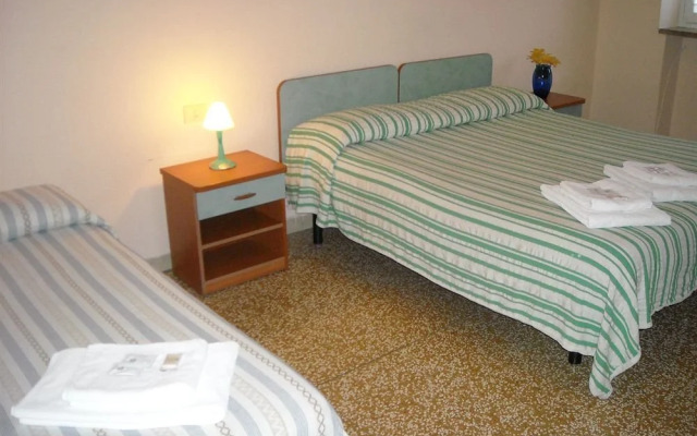 Daily Bed