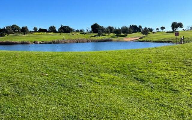 12 A Clube Golfemar